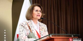 Presidenta del TC propuso al Pleno de la Corte IDH que evalúe aceptar el «margen de apreciación» de los tribunales nacionales