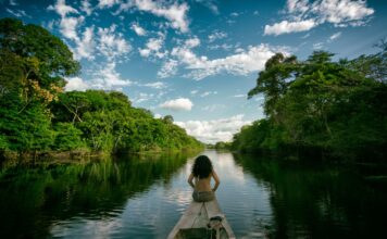 Ley 32582: amplían beneficios tributarios y crean comité para impulsar inversión en la Amazonía