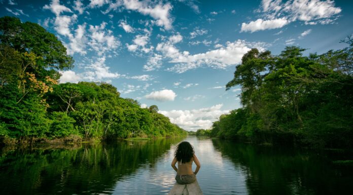 Ley 32582: amplían beneficios tributarios y crean comité para impulsar inversión en la Amazonía