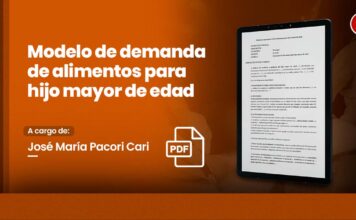 Modelo de demanda de alimentos para hijo mayor de edad
