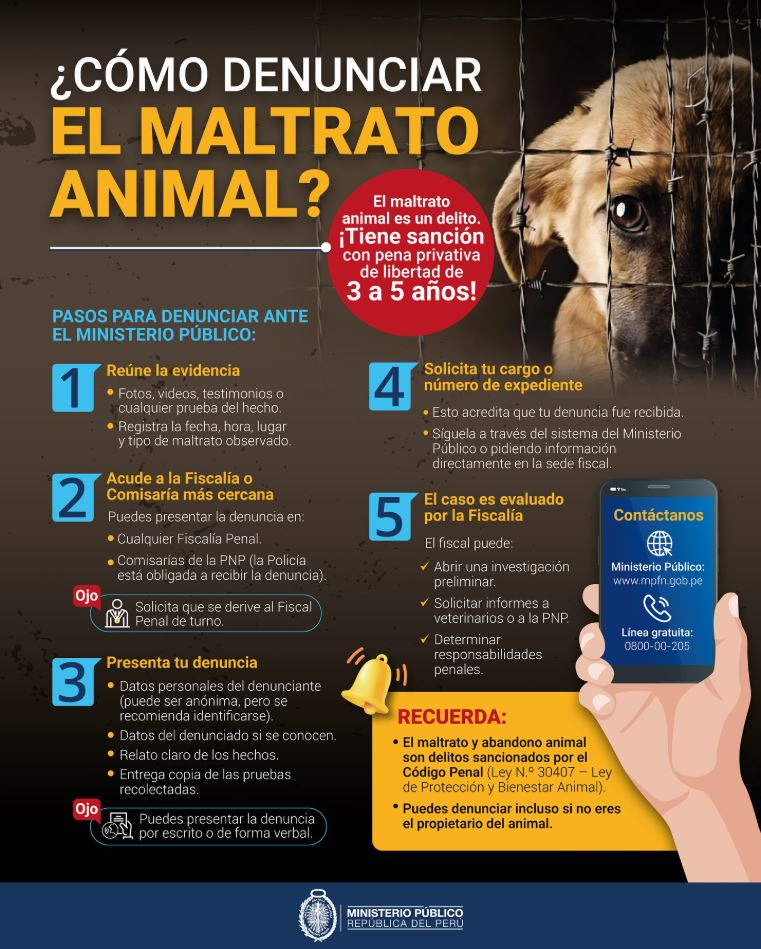denunciar maltrato abandono animal