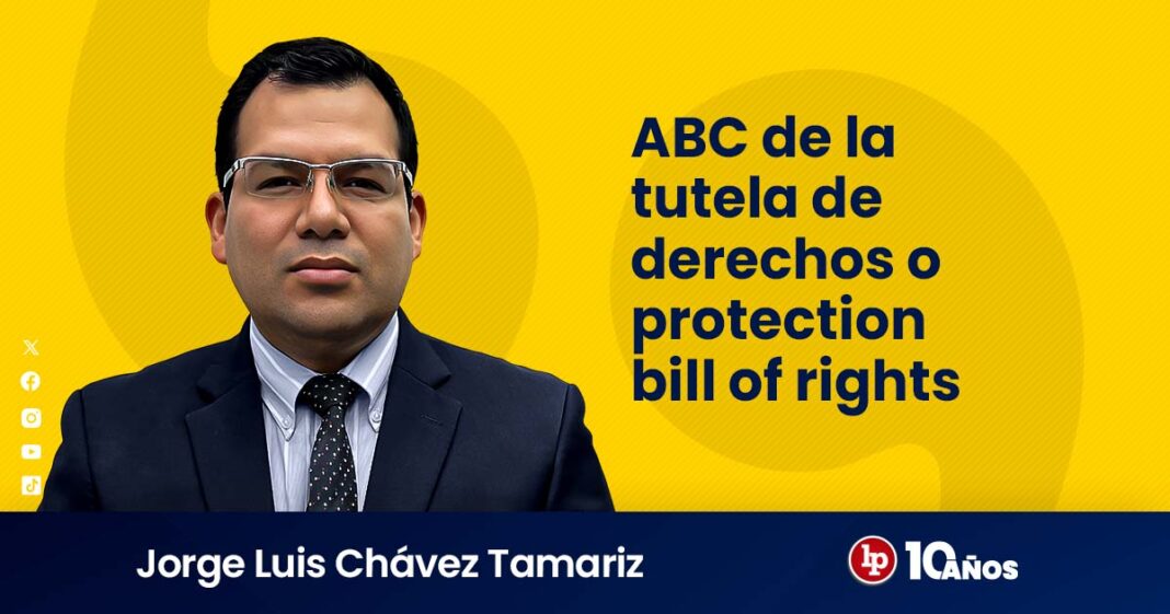 ABC-TUTELA-DERECHOS-CHAVEZ-TAMARIZ-LPDERECHO3