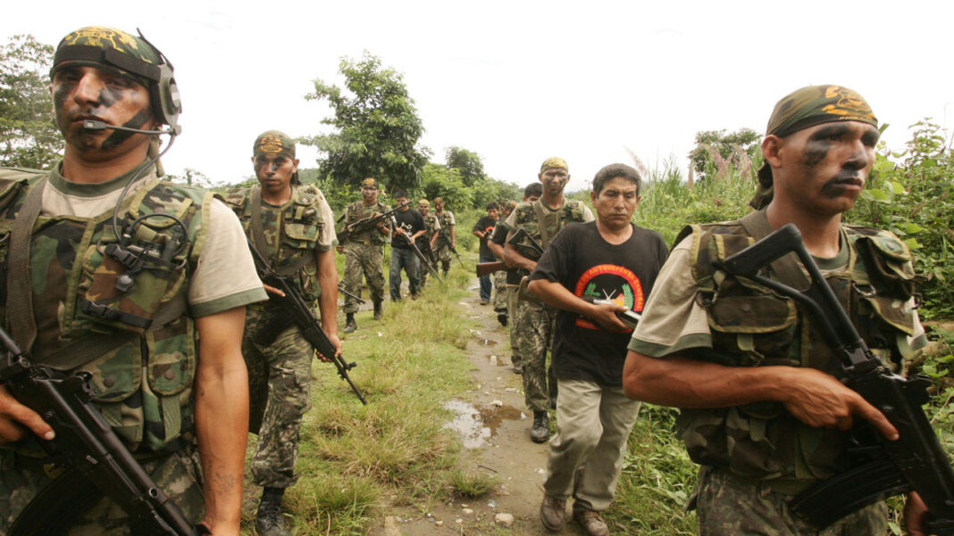 Comites de autodefensa y desarrollo rural - LPDerecho