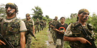 Ley 32492: reconocen y regulan los comités de autodefensa y desarrollo rural (CAD)