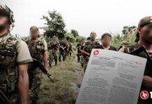 Ley 32492: reconocen y regulan los comités de autodefensa y desarrollo rural (CAD)