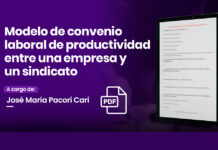 Modelo de convenio laboral de productividad entre una empresa y un sindicato