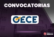 OECE lanza convocatoria para cubrir plazas en Lima y Cusco con sueldos de hasta S/9000