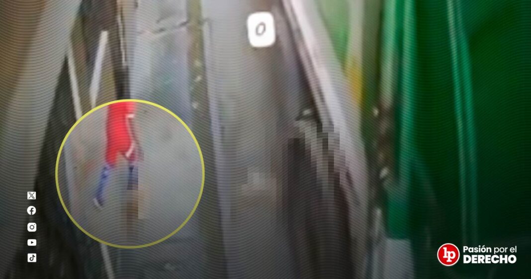 BANNER GENÉRICO ATROPELLO PERRITO-LPDERECHO