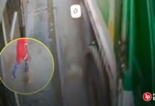 Graban a trabajadores municipales que, tras atropellar a un perro, arrojaron el cuerpo al camión de basura