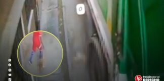 Graban a trabajadores municipales que, tras atropellar a un perro, arrojaron el cuerpo al camión de basura