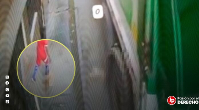 Graban a trabajadores municipales que, tras atropellar a un perro, arrojaron el cuerpo al camión de basura