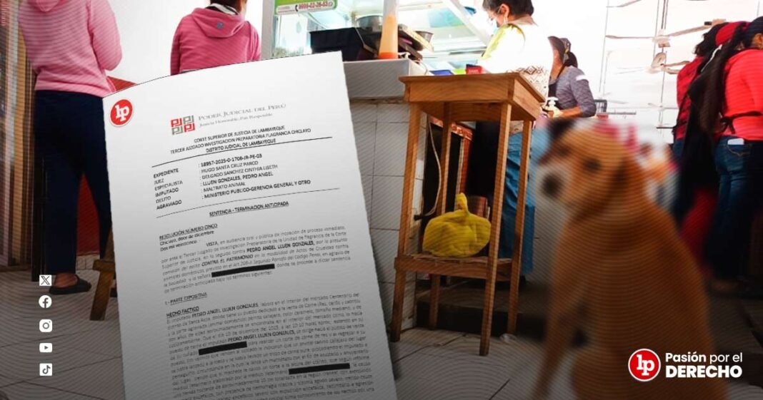 BANNER GENÉRICO PERRITO-LPDERECHO1