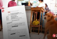 Condenan a carnicero que mató a perro con machete al percatarse que «se había llevado un trozo de carne» (Lea la resolución aquí)