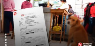 Condenan a carnicero que mató a perro con machete al percatarse que «se había llevado un trozo de carne» (Lea la resolución aquí)