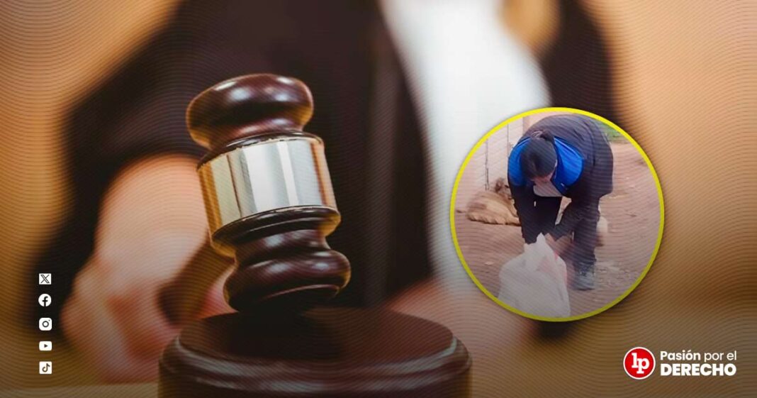 BANNER GENÉRICO SEÑORA-LPDERECHO