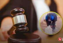 Condenan a mujer que mató a su mascota al lanzarla desde el cuarto piso de su casa