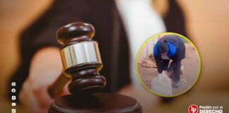 Condenan a mujer que mató a su mascota al lanzarla desde el cuarto piso de su casa