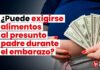¿Puede exigirse alimentos al presunto padre durante el embarazo?