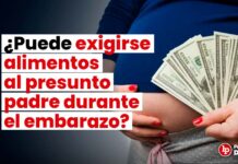 ¿Puede exigirse alimentos al presunto padre durante el embarazo?