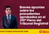 Breves apuntes sobre los precedentes aprobados en el 310° Pleno del Tribunal Registral
