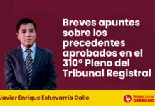 Breves apuntes sobre los precedentes aprobados en el 310° Pleno del Tribunal Registral
