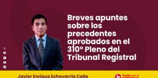 Breves apuntes sobre los precedentes aprobados en el 310° Pleno del Tribunal Registral