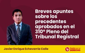 Breves apuntes sobre los precedentes aprobados en el 310° Pleno del Tribunal Registral
