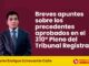 Breves apuntes sobre los precedentes aprobados en el 310° Pleno del Tribunal Registral