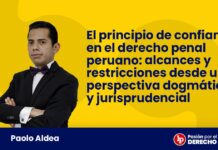 El principio de confianza en el derecho penal peruano: alcances y restricciones desde una perspectiva dogmática y jurisprudencial