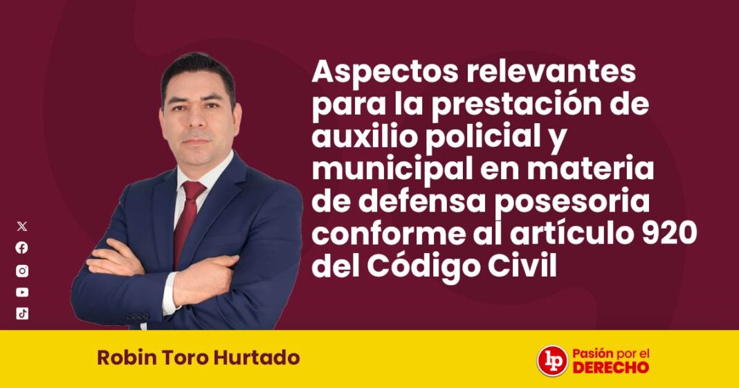 BANNER POST ROBIN TORO HURTADO