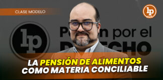 Clase modelo sobre la pensión de alimentos como materia conciliable