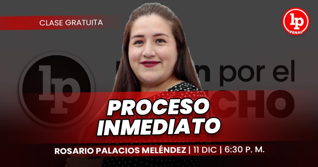 INTERMEDIACION-ROSARIO PALACIOS-LPDERECHO