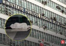 Fiscalía realiza diligencias preliminares por homicidio de abogado que se dirigía reunirse con cliente