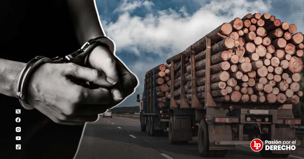 BANNER GENÉRICO CAMION TRANSPORTANDOMADERA-LPDERECHO