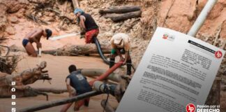 Plantean que congresistas con sentencias firmes por minería ilegal pierdan su escaño