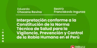 Interpretación conforme a la Constitución de la Norma Técnica de Salud para la Vigilancia, Prevención y Control de la Rabia Humana en el Perú