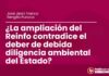 ¿La ampliación del Reinfo contradice el deber de debida diligencia ambiental del Estado?