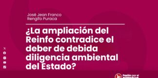 ¿La ampliación del Reinfo contradice el deber de debida diligencia ambiental del Estado?
