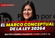 El marco conceptual de la ley 30364