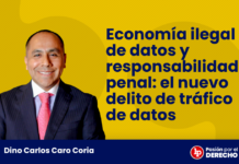 Economía ilegal de datos y responsabilidad penal: el nuevo delito de tráfico de datos
