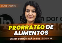 Clase modelo sobre prorrateo de alimentos