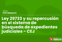 Ley 29733 y su repercusión en el sistema de búsqueda de expedientes judiciales – CEJ