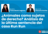 ¿Animales como sujetos de derecho? Análisis de la última sentencia del caso Run Run