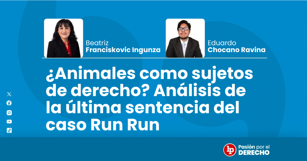 Animales como sujetos de derecho - LPDerecho