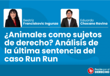 ¿Animales como sujetos de derecho? Análisis de la última sentencia del caso Run Run