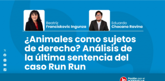 ¿Animales como sujetos de derecho? Análisis de la última sentencia del caso Run Run