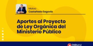 Aportes al Proyecto de Ley Orgánica del Ministerio Público