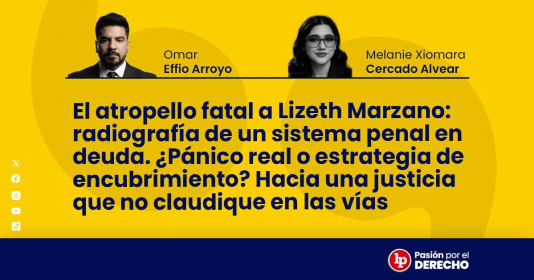 BANNER 2 AUTORES OMAR EFFIO-MELANIE CERCADO-LPDERECHO