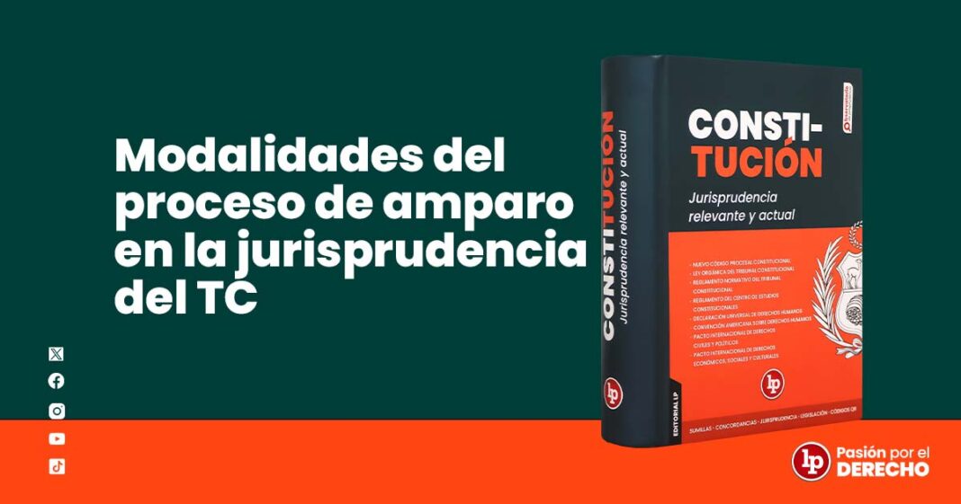 BANNER ARTICULO CONSTITUCIONAL 21