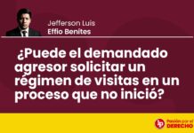 ¿Puede el demandado agresor solicitar un régimen de visitas en un proceso que no inició?